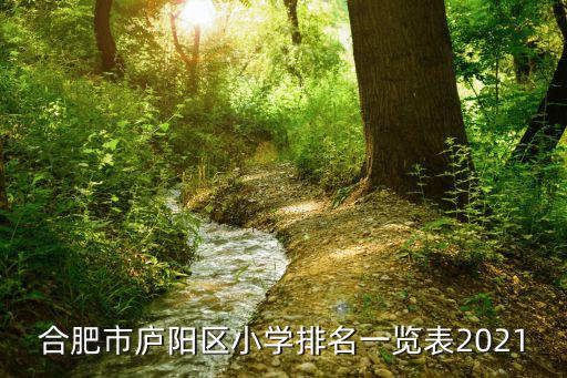 合肥市廬陽區小學排名一覽表2021