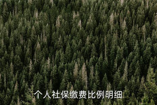 個(gè)人社保繳費(fèi)比例明細(xì)