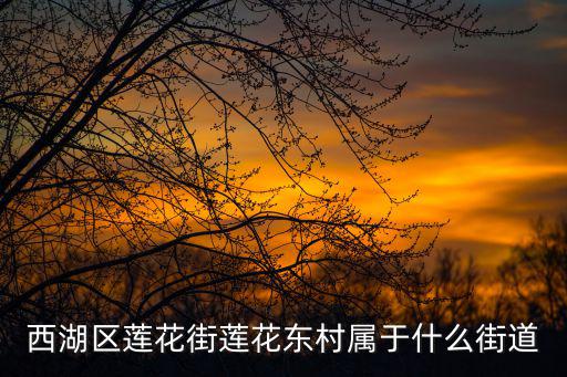 西湖區蓮花街蓮花東村屬于什么街道