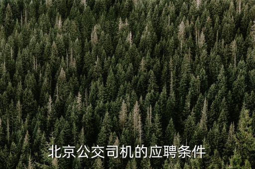 公交車司機招聘條件，昆明公交公司招聘司機有什么要求