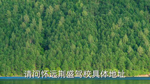 請問懷遠荊盛駕校具體地址