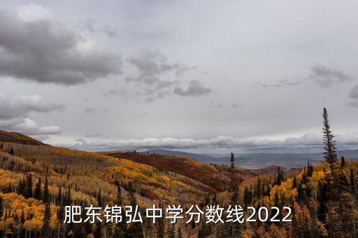 肥東錦弘中學分數線2022