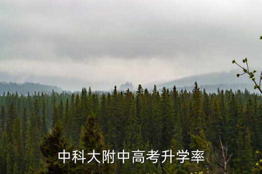 中科大附中高考升學率
