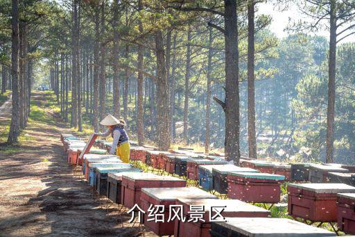 介紹風(fēng)景區(qū)