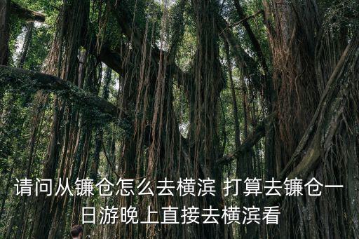 請問從鐮倉怎么去橫濱 打算去鐮倉一日游晚上直接去橫濱看