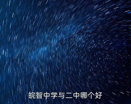 皖智中學(xué)與二中哪個好