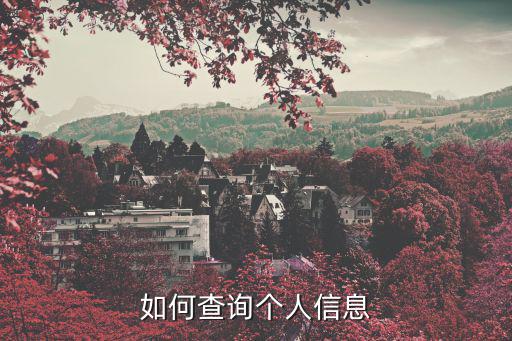 怎么查詢個人信息，如何查詢個人信息