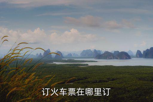 火車票預(yù)定，預(yù)訂火車票是12306還是攜程