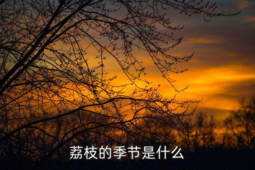 荔枝的季節(jié)是什么