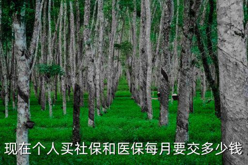 醫保要交多少錢，醫保自己每月交多少錢
