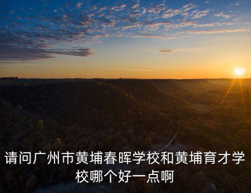 請(qǐng)問(wèn)廣州市黃埔春暉學(xué)校和黃埔育才學(xué)校哪個(gè)好一點(diǎn)啊