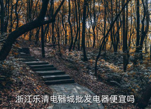 浙江樂清電器城批發(fā)電器便宜嗎