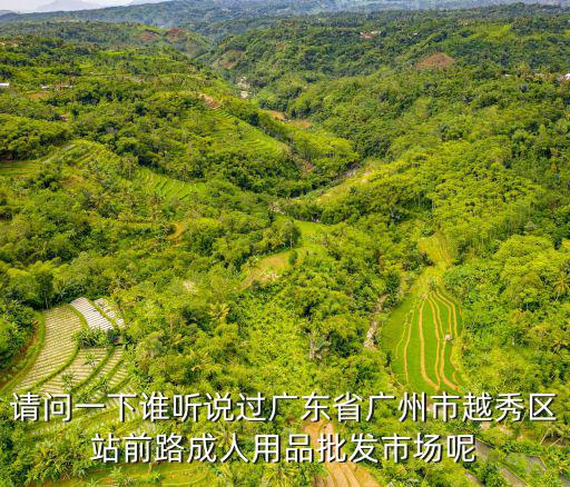 請問一下誰聽說過廣東省廣州市越秀區站前路成人用品批發市場呢