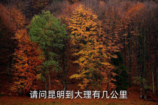 昆明大理，昆明和大理到底哪個發達