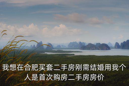 我想在合肥買套二手房剛需結(jié)婚用我個人是首次購房二手房房價