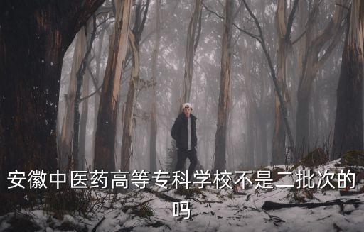安徽中醫藥高等專科學校不是二批次的嗎