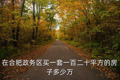 合肥政務區房價，在合肥政務區買一套一百二十平方的房子多少萬