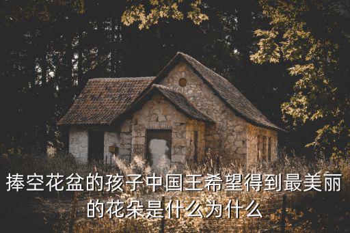 捧空花盆的孩子中國王希望得到最美麗的花朵是什么為什么