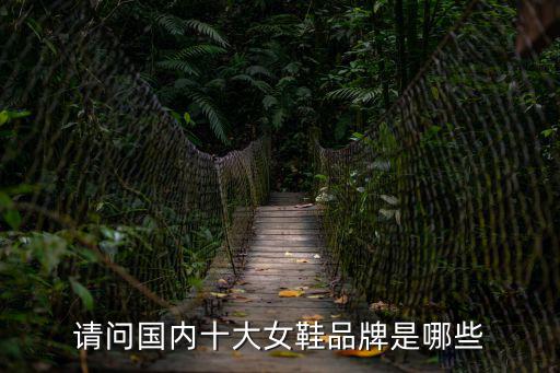 中國(guó)女鞋品牌，請(qǐng)問(wèn)國(guó)內(nèi)十大女鞋品牌是哪些