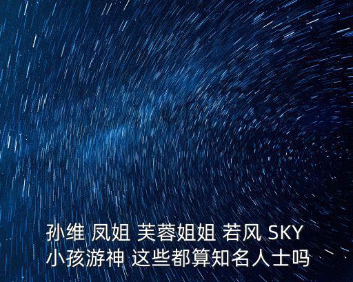 孫維 鳳姐 芙蓉姐姐 若風 SKY 小孩游神 這些都算知名人士嗎