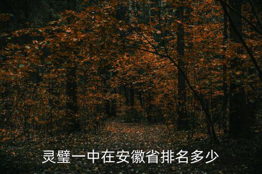 靈璧一中在安徽省排名多少