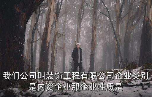 內(nèi)資企業(yè)，我們公司叫裝飾工程有限公司企業(yè)類別是內(nèi)資企業(yè)那企業(yè)性質(zhì)是