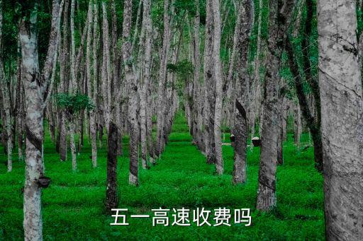 五一高速收費嗎