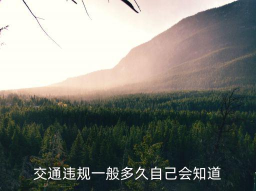 交通違規一般多久自己會知道