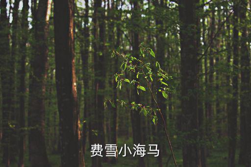 費(fèi)雪小海馬