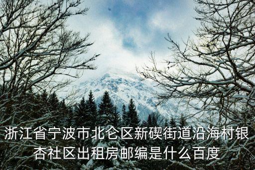 浙江省寧波市北侖區新碶街道沿海村銀杏社區出租房郵編是什么百度