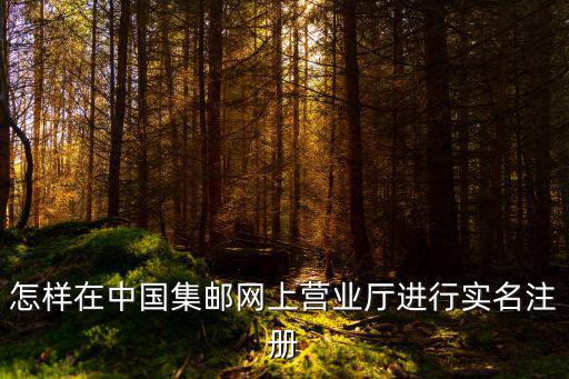 怎樣在中國集郵網上營業廳進行實名注冊
