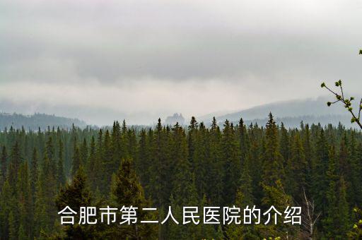 合肥市第二人民醫院的介紹