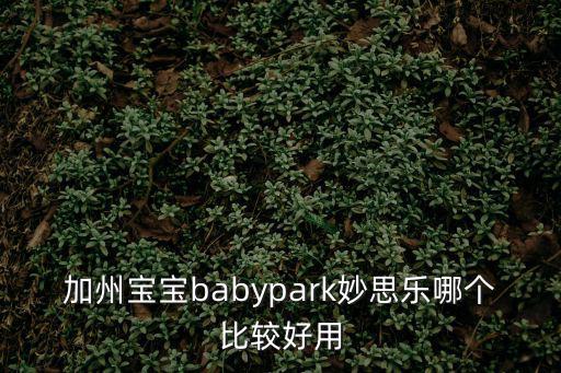 加州寶寶babypark妙思樂哪個比較好用