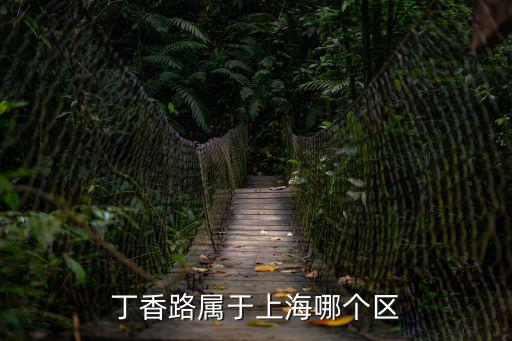 丁香路屬于上海哪個(gè)區(qū)
