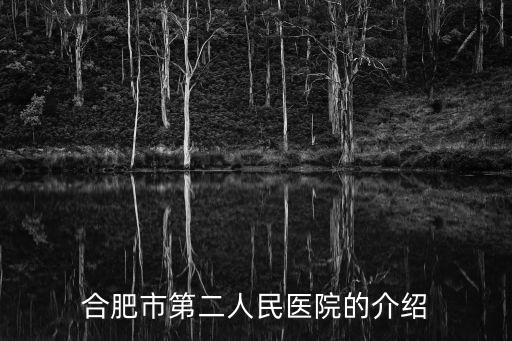 合肥市2，合肥市第二中學是高中嗎