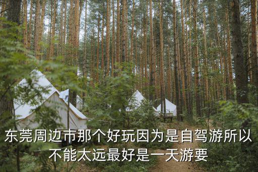 東莞周邊市那個好玩因為是自駕游所以不能太遠最好是一天游要