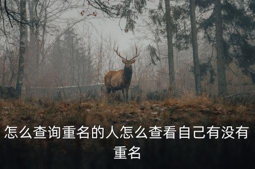 姓名重復(fù)查詢，哪里可以查詢姓名重復(fù)率