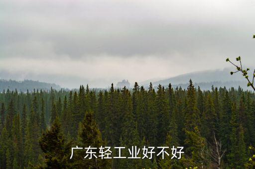 廣東輕工業好不好