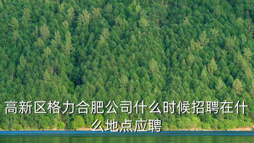 合肥高新區(qū)招聘，請問合肥高新區(qū)有哪些大型企業(yè)招聘啊能不能提供下人力資源部電話