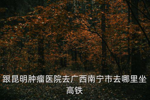 跟昆明腫瘤醫院去廣西南寧市去哪里坐高鐵