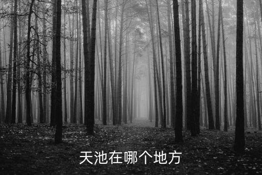 天池在哪個地方