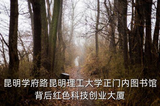 文一錦門學府里，清華大學韓雨嵐什么地方的