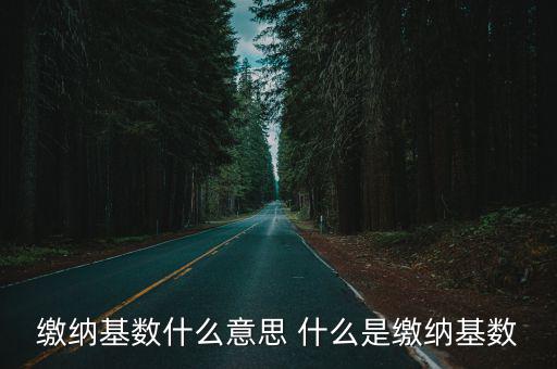 繳納基數，繳納基數什么意思 什么是繳納基數
