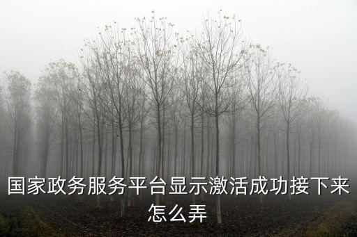 國家政務服務平臺顯示激活成功接下來怎么弄