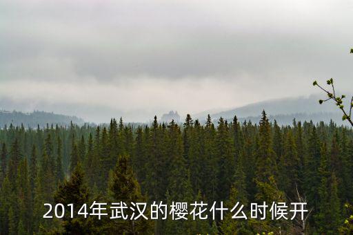 武漢櫻花什么時(shí)候開，2014年武漢的櫻花什么時(shí)候開