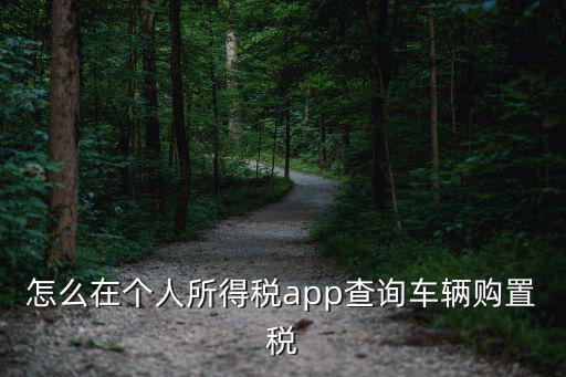 怎么在個人所得稅app查詢車輛購置稅