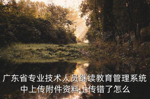 廣東省專業技術人員繼續教育管理系統中上傳附件資料上傳錯了怎么