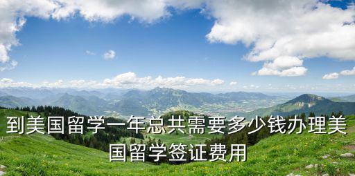 到美國留學(xué)一年總共需要多少錢辦理美國留學(xué)簽證費用