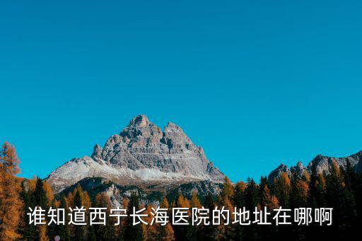 誰知道西寧長海醫院的地址在哪啊