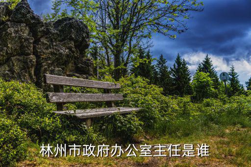 林州市政府辦公室主任是誰